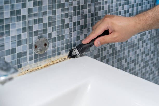 Best Best Mold Removal Companies  in Fairway, KS
