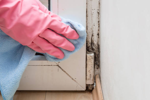 Water Damage Restoration in Fairway, KS